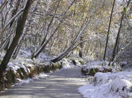 Chemin de silence